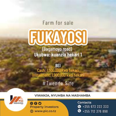 Farms for sale at Bagamoyo, Mbeya