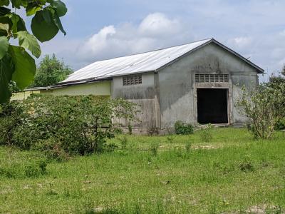 Farm for sale at Bagamoyo, Mbeya