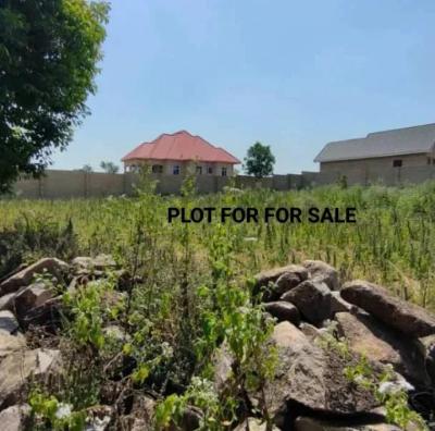 Plot for sale at Buswelu, Mwanza