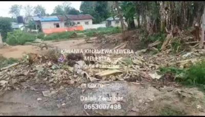 Plot for sale at Mwera, Tanga