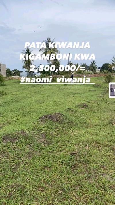 Plots for sale at Vianzi, Pwani