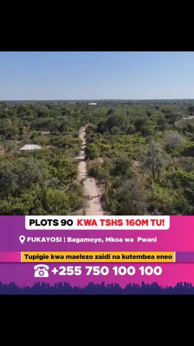 Plots for sale at Fukayosi, Pwani