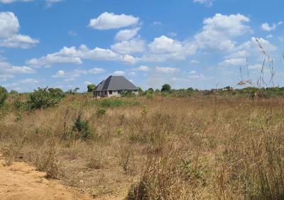 Farms for sale at Kibaha, Pwani