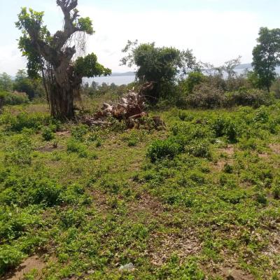 Plot for sale at Ibanda, Mbeya