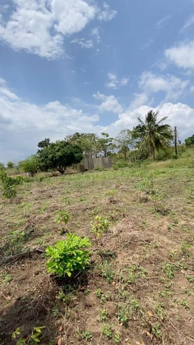 Plot for sale at Mawasiliano, Morogoro