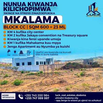 Plot for sale at Hazina, Dodoma