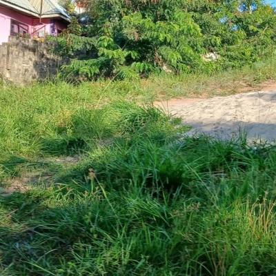 Plot for sale at Kinyerezi, Dar Es Salaam