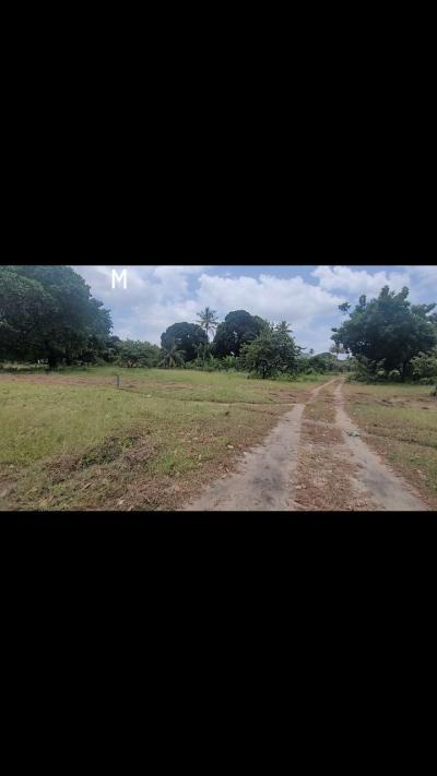 Plots for sale at Kigamboni, Dar Es Salaam