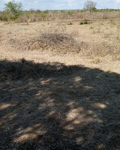 Plots for sale at Mkundi, Morogoro