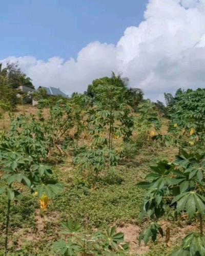 Plots for sale at Kinyerezi, Dar Es Salaam