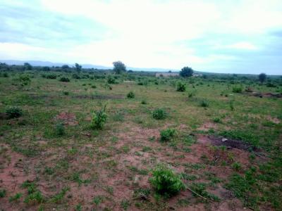 Shamba linauzwa Heka, Singida