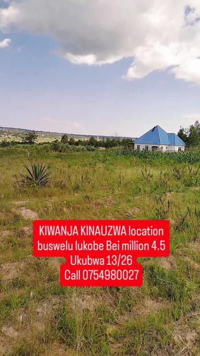 Plot for sale at Buswelu, Mwanza