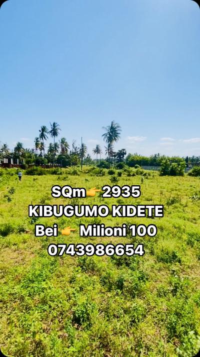 Plot for sale at Kidete, Morogoro