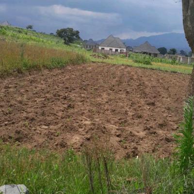 Plot for sale at Iwambi, Mbeya