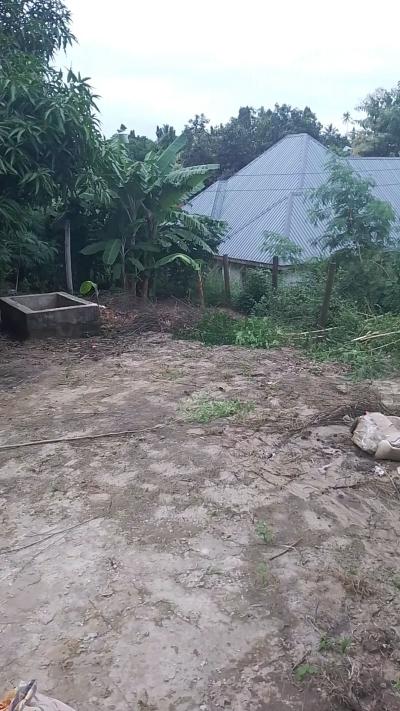 Plot for sale at Tambalale, Tabora