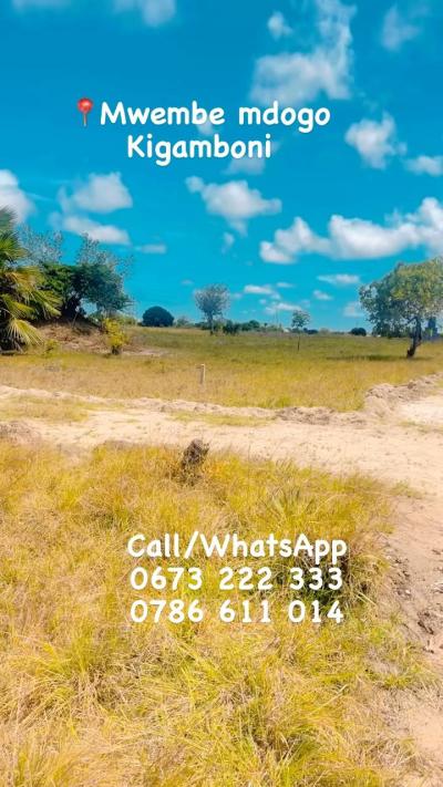 Plots for sale at Mwembe, Kilimanjaro