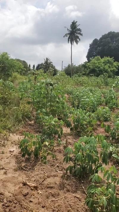 Kiwanja kinauzwa Goba, Dar Es Salaam