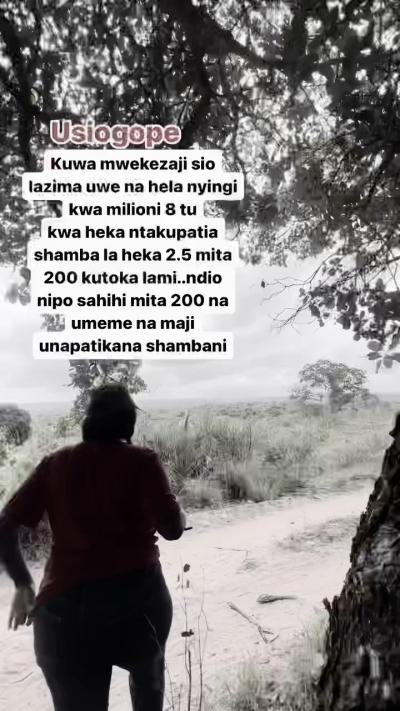 Mashamba yanauzwa Mjini, Ruvuma