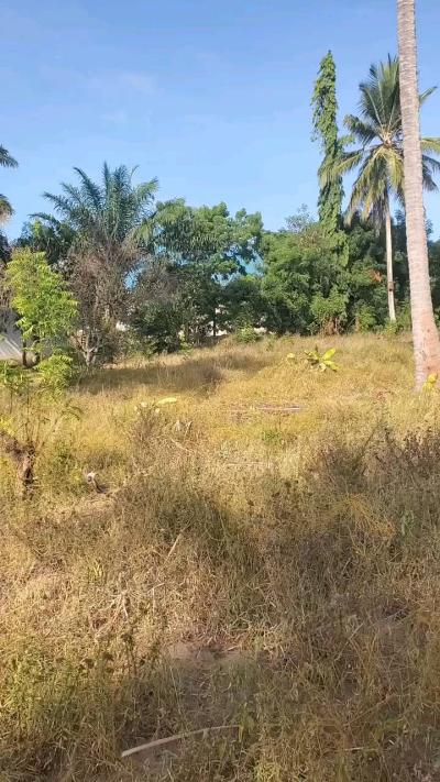 Plot for sale at Mbezi, Dar Es Salaam