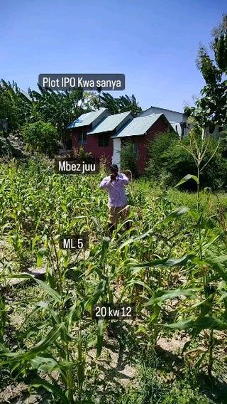 Plot for sale at Mbezi Juu, Dar Es Salaam