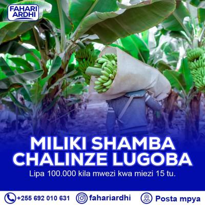 Farms for sale at Lugoba, Pwani