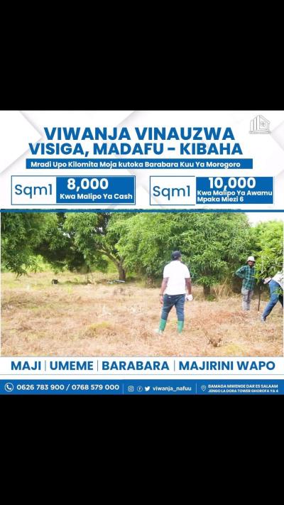 Plots for sale at Visiga, Pwani