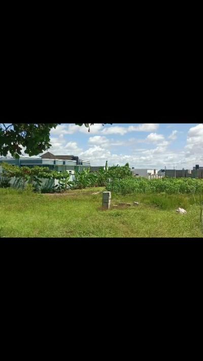 Plot for sale at Kigamboni, Dar Es Salaam