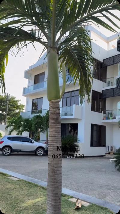 2 Bedrooms House for Rent at Mbezi, Dar Es Salaam