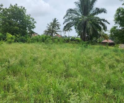 Plots for sale at Mbezi, Dar Es Salaam