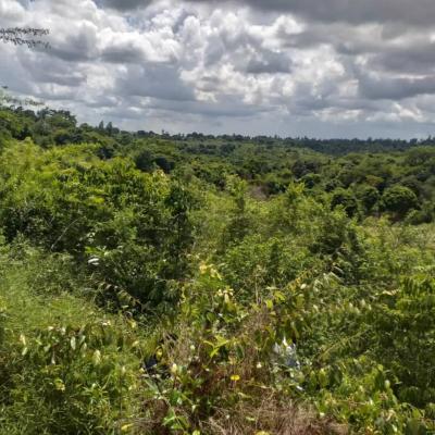 Farms for sale at Masaki, Pwani