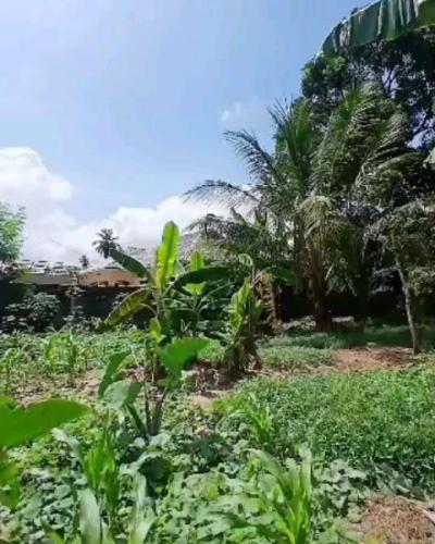 Plot for sale at Tambalale, Tabora