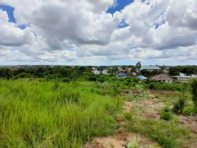 Plots for sale at Mbezi, Dar Es Salaam