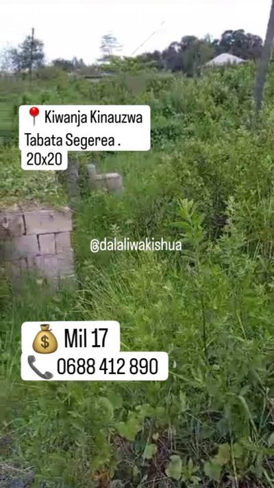 Plot for sale at Segerea, Dar Es Salaam