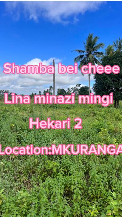 Shamba linauzwa Mkuranga, Pwani