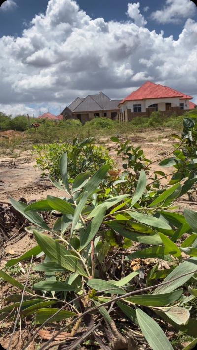 Plot for sale at Mawasiliano, Morogoro