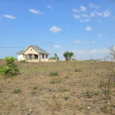 House for Rent at Bara, Songwe