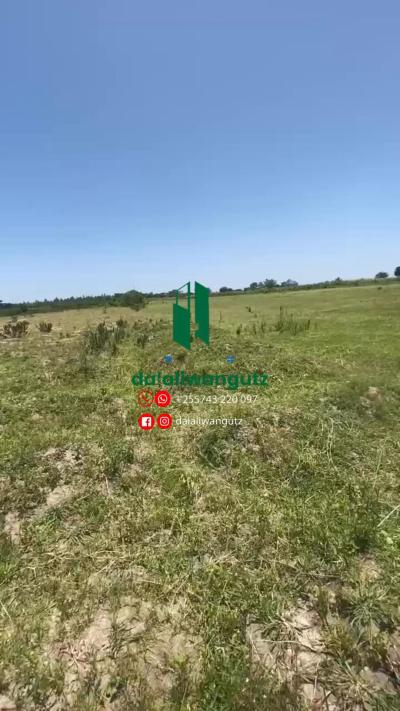 Farm for sale at Heka, Singida