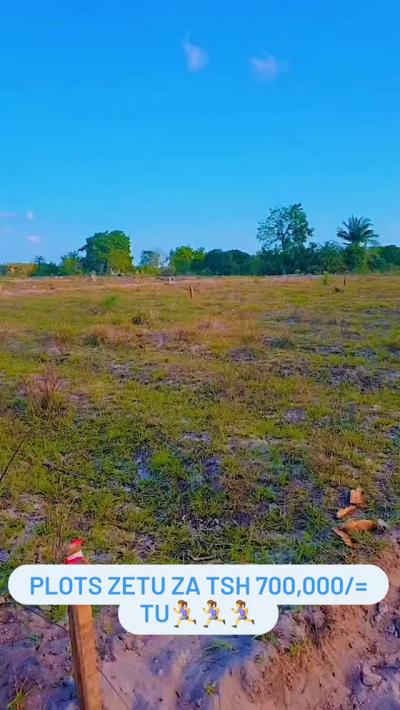 Plots for sale at Kilwa, Tanga