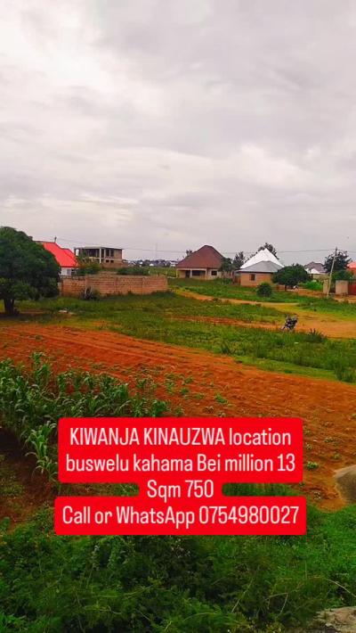 Kiwanja kinauzwa Buswelu, Mwanza