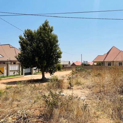 Plot for sale at Nzuguni, Dodoma