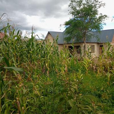 House for sale at Isakalilo, Iringa