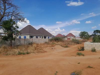 Plot for sale at Nzuguni, Dodoma