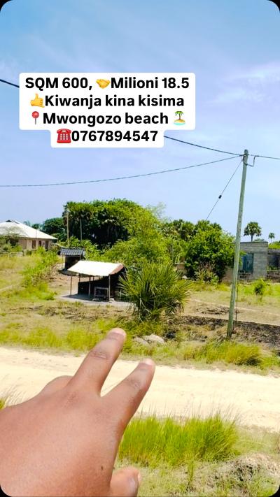 Plot for sale at Mwongozo, Tabora