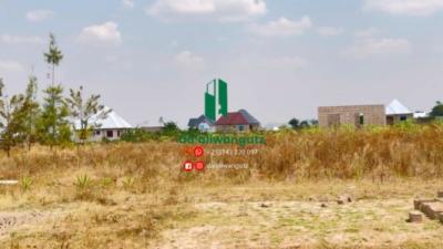 Plots for sale at Kisesa, Mwanza