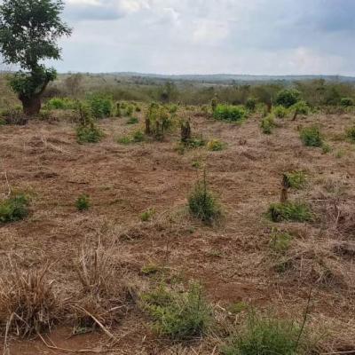 Farms for sale at Mbwewe, Pwani