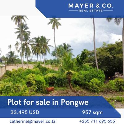 Plot for sale at Pongwe, Tanga