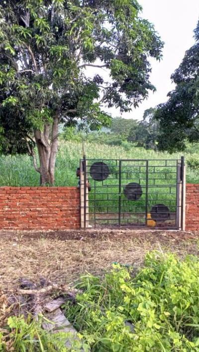 Farm for sale at Kiroka, Morogoro