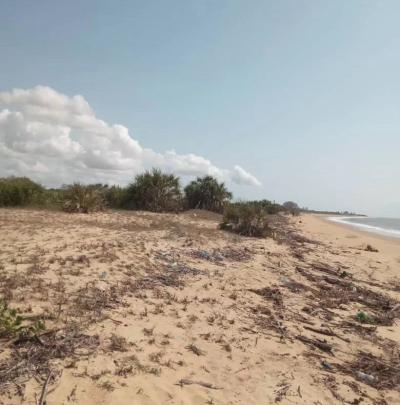 Plots for sale at Bagamoyo, Mbeya