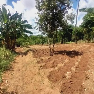 Plots for sale at Bunju, Dar Es Salaam