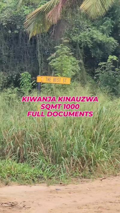 Plot for sale at Goba, Dar Es Salaam